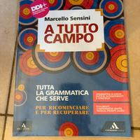 libro Grammatica a tutto campo di Marcello Sensini