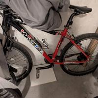 Bici Mountain bike ruote 26" Alu