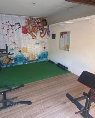 Attrezzi per Home Gym Palestra (Bilancieri, pesi)