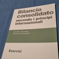 bilancio consolidato libro esercizi 