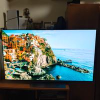 LG OLED EVO C4 55"