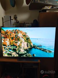 LG OLED EVO C4 55"