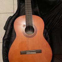 Chitarra Yamaha con custodia