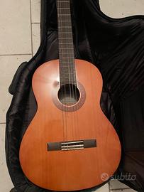 Chitarra Yamaha con custodia