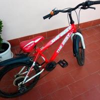 Mountain bike, Bicicletta The Best