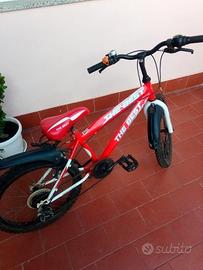 Mountain bike, Bicicletta The Best