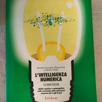 Libro per bambini "l'intelligenza numerica"