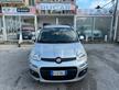 Fiat Panda 1.2 BENZINA Lounge