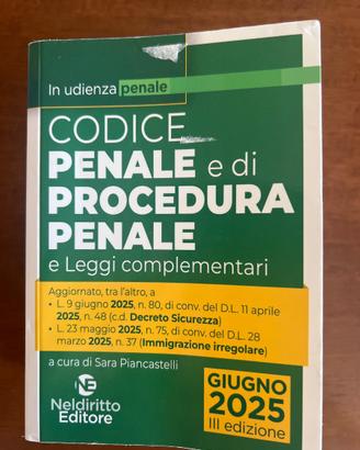 Codice penale e di procedura penale 2025