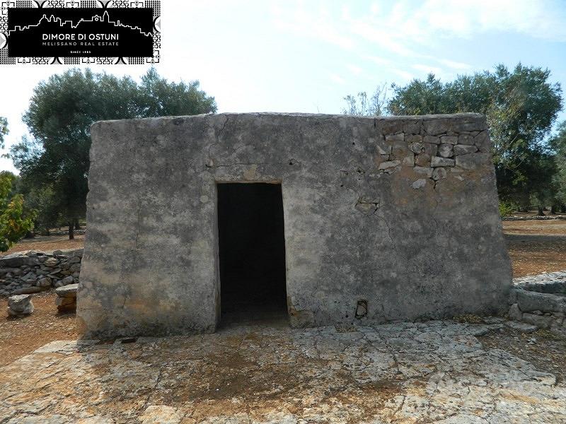 LAMIA SPRITZ con TERRENO 1Ha - OSTUNI - Vista 3