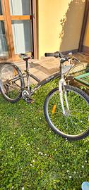 MTB Bambino 24"