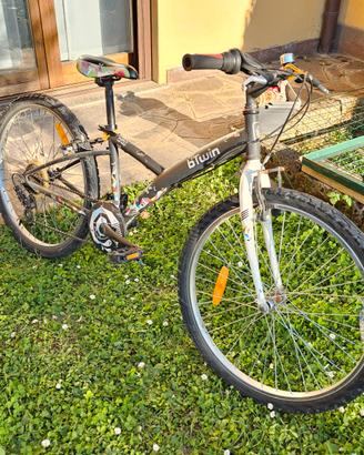 MTB Bambino 24"