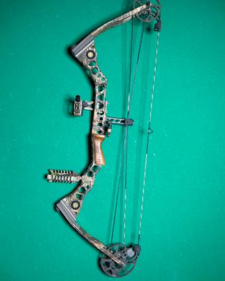 Mathews Solo Cam