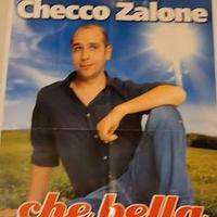 Poster Locandina film di Checco Zalone
