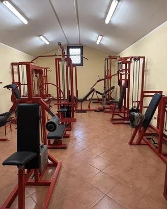 Palestra completa intera in blocco anni 90