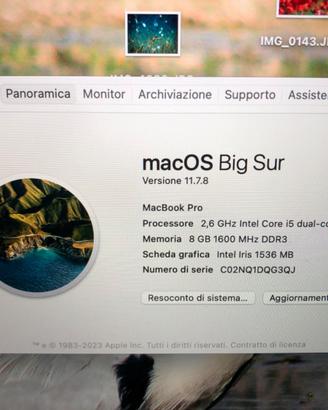 Apple Mac Book Pro  Originale C02NQ1DQG3QJ