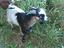 Immagine 1