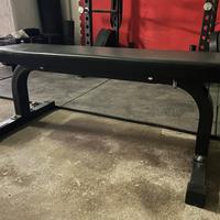 Panca Piana Lacertosus