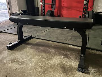 Panca Piana Lacertosus