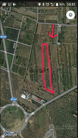 Terreno agricolo 8.760m² mt30x300 Lamezia zona A2