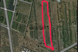 Terreno agricolo 8.760m² mt30x300 Lamezia zona A2