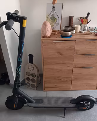 Monopattino elettrico