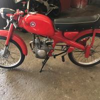 Motom 50 vintage