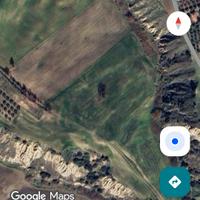 Vendita terreni agricoli