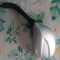 Specchio SX per F10 Malaguti