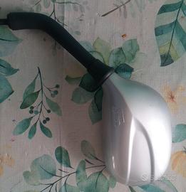 Specchio SX per F10 Malaguti