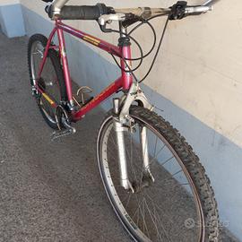  bottecchia bici 26"