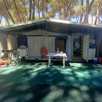 Roulotte in campeggio