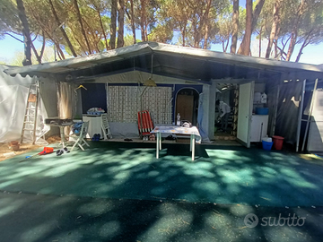 Roulotte in campeggio