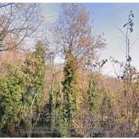 Terreno Agricolo Castagnole Monferrato [A4315662]