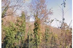 Terreno Agricolo Castagnole Monferrato [A4315662]