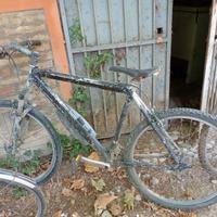 Mountain bike Bianchi