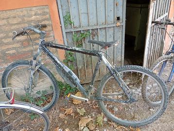 Mountain bike Bianchi