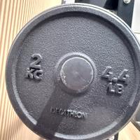 Coppia Dischi ghisa 2kg