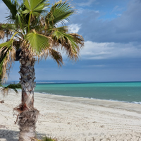 Casa vacanza Calabria -Sellia Marina