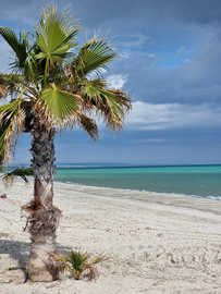 Casa vacanza Calabria -Sellia Marina