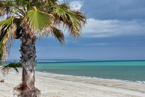 Casa vacanza Calabria -Sellia Marina