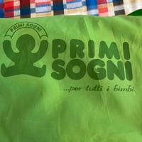 Lettino da viaggio riduttore, materasso e cuscino