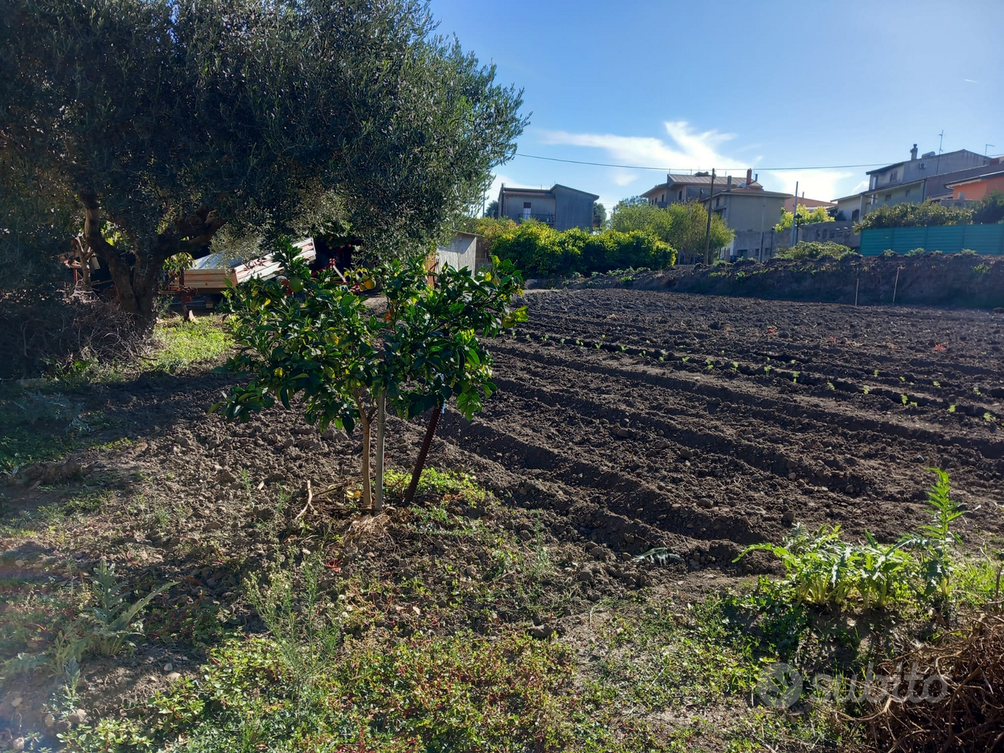 Mandas Centro: Terreno 550mq per Villa o Imprese - Vista 5