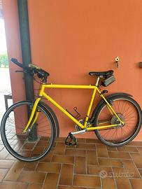 Bicicletta mountain bike