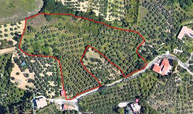Terreno di 17000 m² a San Giovanni Teatino
