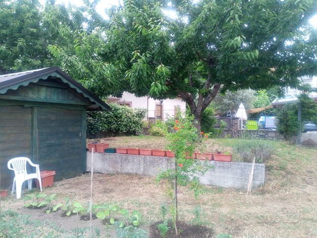 Agerola terreno per orto giardino