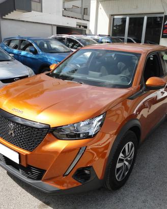 Peugeot 2008 1.5 bluehdi Active s&s 110cv