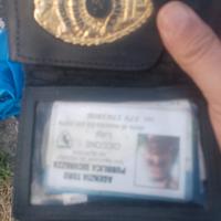 Professionista security