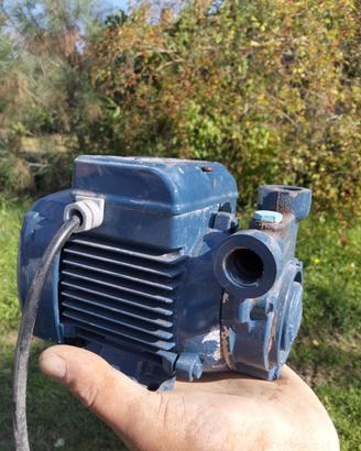 ELETTROPOMPA PERIFERICA PEDROLLO