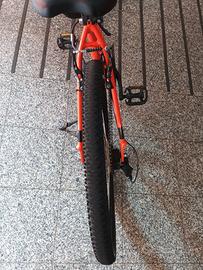bicicletta